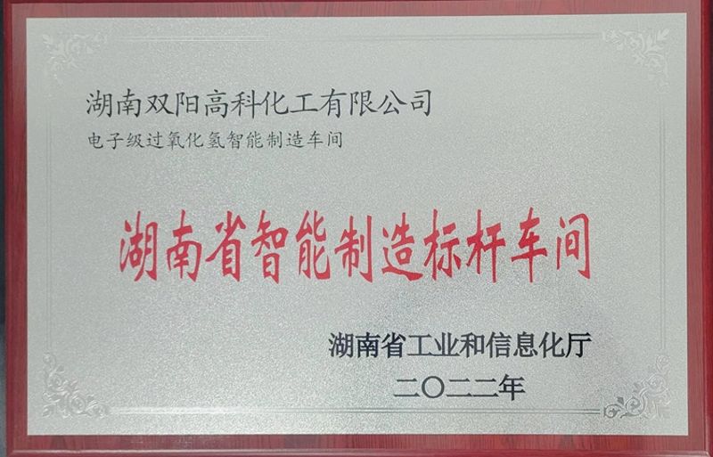 雙陽高科智能制造獲評省級“標桿”